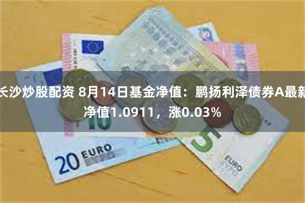 长沙炒股配资 8月14日基金净值：鹏扬利泽债券A最新净值1.0911，涨0.03%