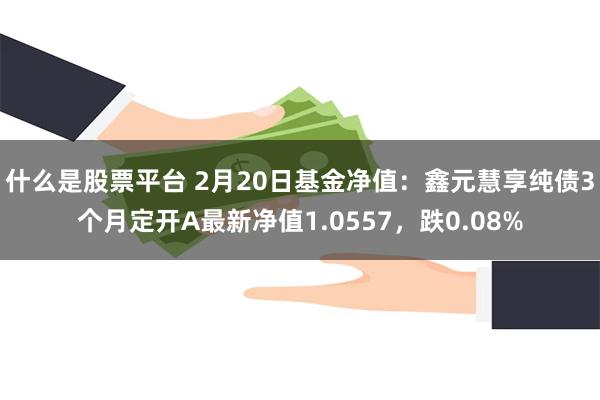 什么是股票平台 2月20日基金净值：鑫元慧享纯债3个月定开A最新净值1.0557，跌0.08%