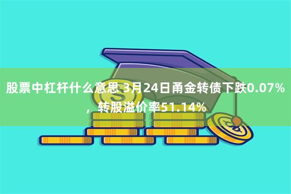 股票中杠杆什么意思 3月24日甬金转债下跌0.07%，转股溢价率51.14%