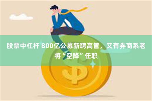 股票中杠杆 800亿公募新聘高管，又有券商系老将“空降”任职