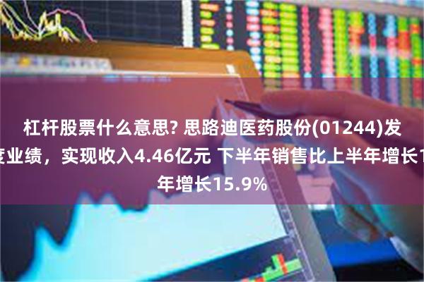 杠杆股票什么意思? 思路迪医药股份(01244)发布年度业绩，实现收入4.46亿元 下半年销售比上半年增长15.9%