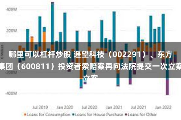 哪里可以杠杆炒股 遥望科技（002291）、东方集团（600811）投资者索赔案再向法院提交一次立案
