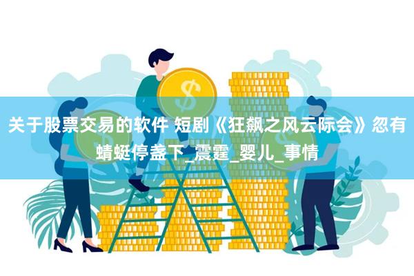关于股票交易的软件 短剧《狂飙之风云际会》忽有蜻蜓停盏下_震霆_婴儿_事情