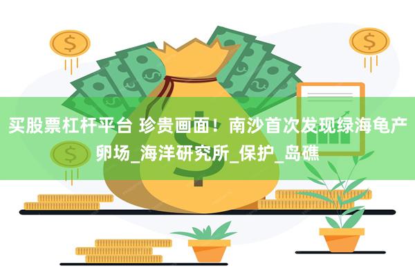 买股票杠杆平台 珍贵画面！南沙首次发现绿海龟产卵场_海洋研究所_保护_岛礁