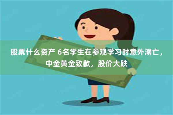 股票什么资产 6名学生在参观学习时意外溺亡，中金黄金致歉，股价大跌