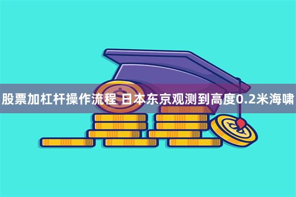 股票加杠杆操作流程 日本东京观测到高度0.2米海啸